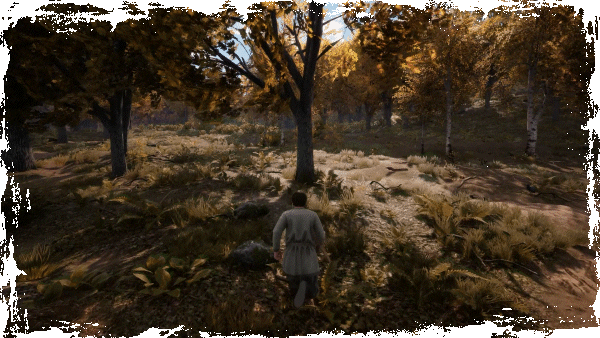 中世纪王朝|官方中文|支持手柄|Medieval Dynasty Digital Supporter Edition插图10